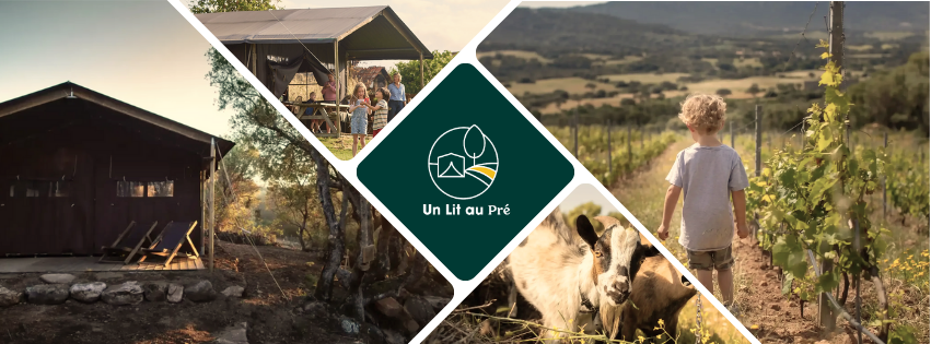 mix de photos d'un séjour dans un domaine viticol