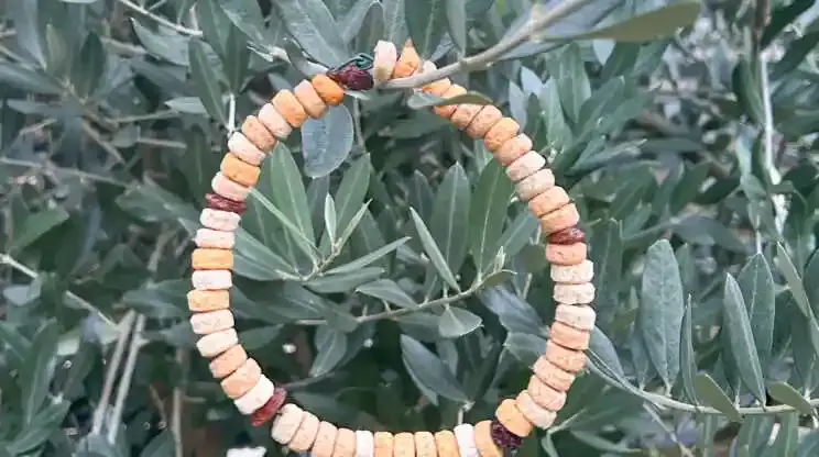 petit mangeoir pour oiseau suspendu