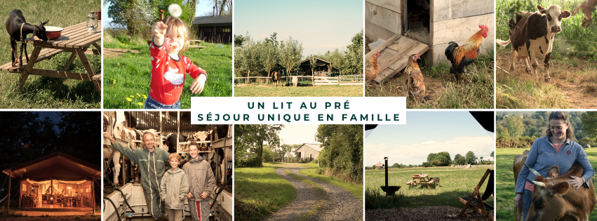 Plusieurs photos de moments uniques a la ferme que l'on vit lors d'un séjour a la ferme