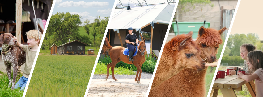 Mix de photos à la ferme avec des animaux, mais aussi des enfants et une adulte