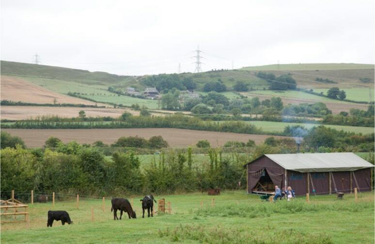 Vue sur le champs d'une ferme avec une tente pour du glamping