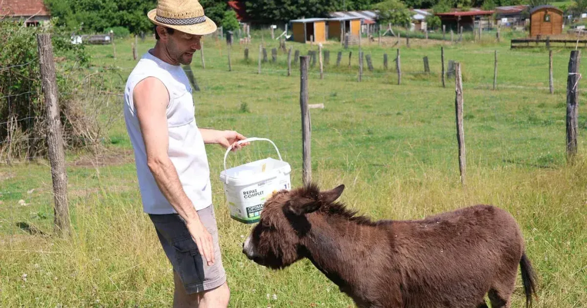 Ecolodges insolites à la Ferme la contrée des minis